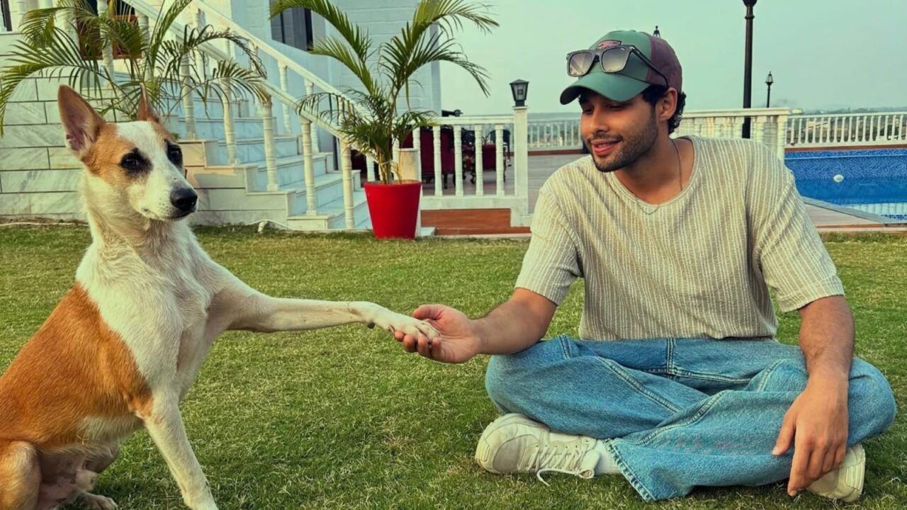 Siddhant Chaturvedi networth 2025